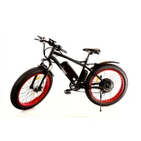 Электровелосипед ELBIKE PHANTOM 500W